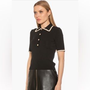 Alexia Admor collared knit short sleeve top (size XS) NWOT